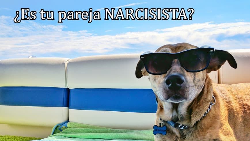 Personas narcisistas